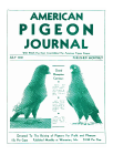 Magazine Cover